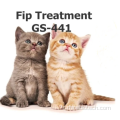 GS-441524 Şişeleri Kedi FIP tedavisi 15mg / ml